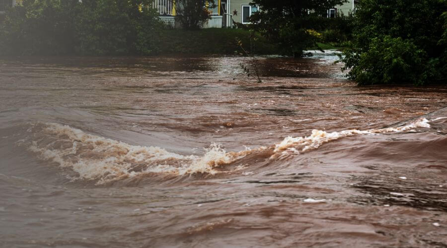 Why choose water damage restoration service for burst pipe water damage in Inglewood